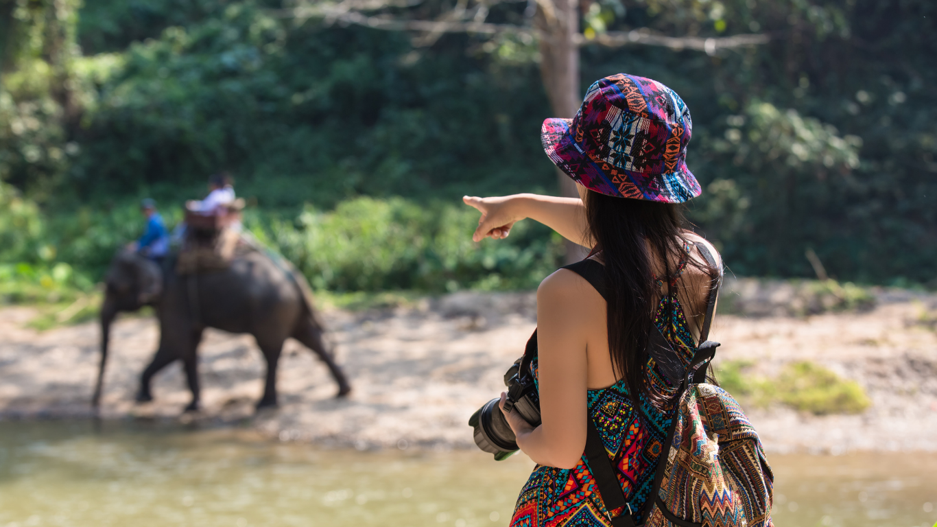 kanha national park tour packages