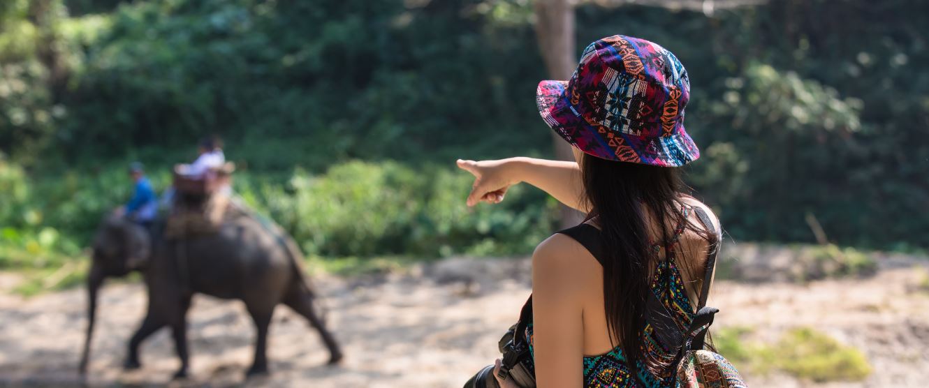 Kanha National Park tour packages