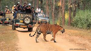 Kanha National Park