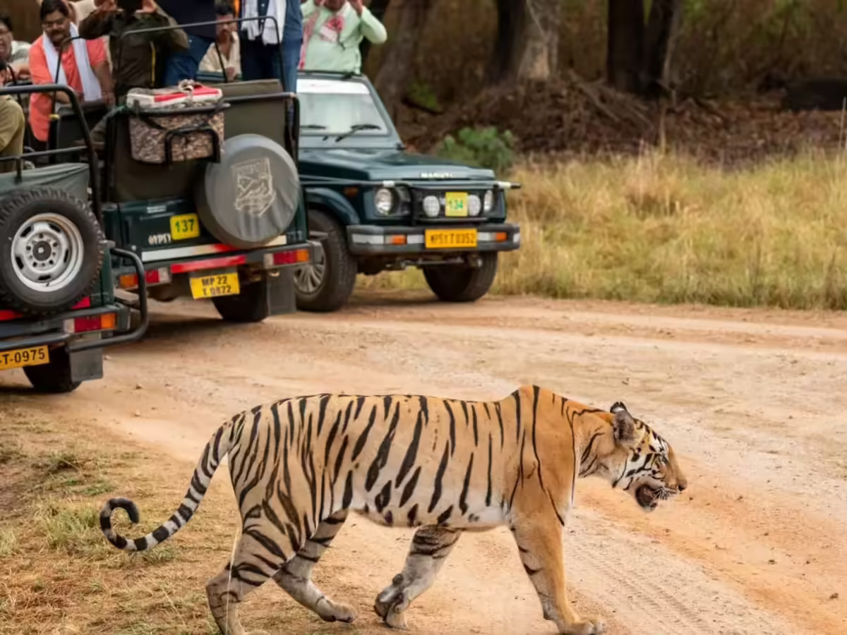 Kanha National Park