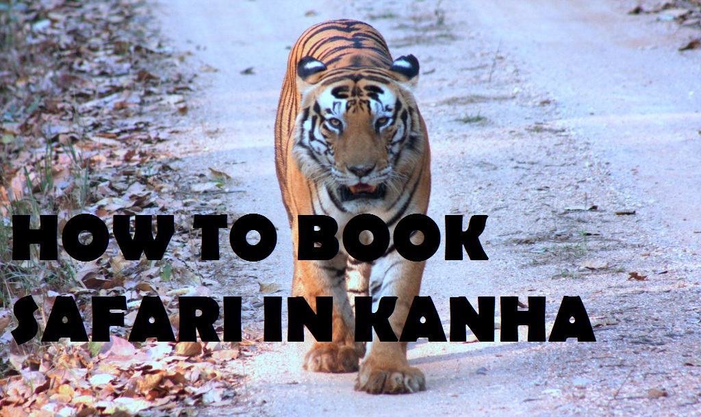 Kanha National Park safari booking