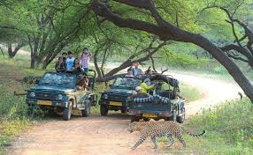 Kanha Safari Booking